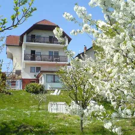 Berki Apartman Hévíz